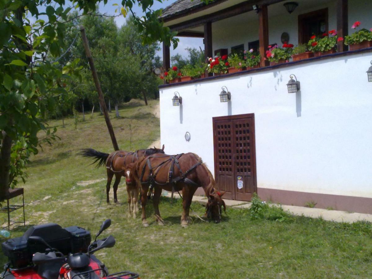Cottage Poe Poienari Exterior foto